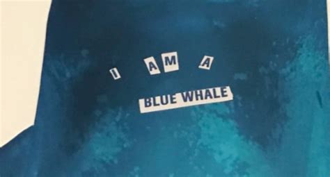 After teen's death, family discovers 'Blue Whale' .